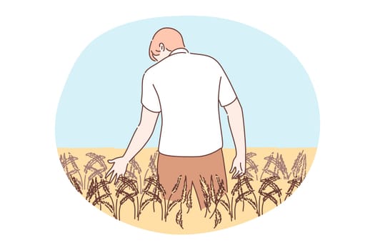 Agriculture, farming, harvesting concept. Young man or boy agronomist farmer cartoon character standing in farmland golden wheat field holding rye ear. Barley or grain agricultural harvest season.