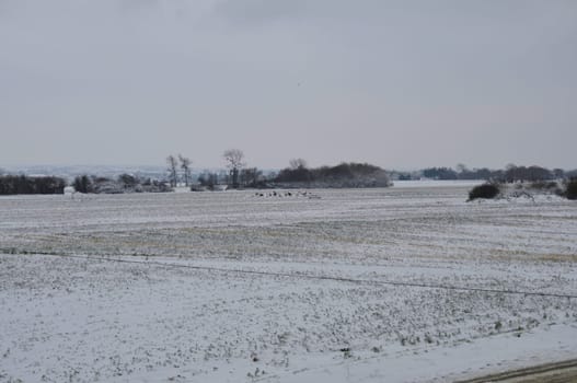 Fields under the snow in Brittany