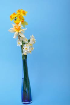Bouquet of daffodils in a vase