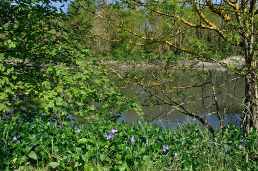 Banks of the Seine at Elbeuf in Normandy