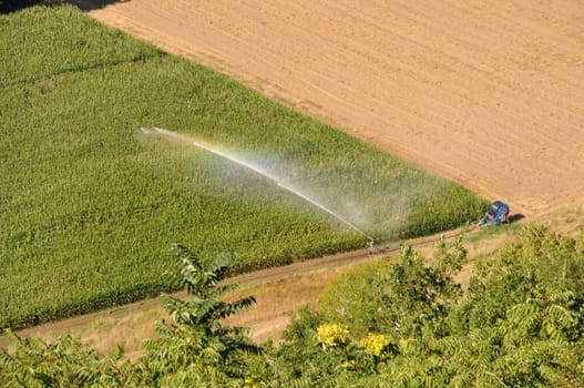 Water sprinkler installation in a field of maize, aerial view