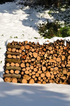 Pile of wood covered in snow