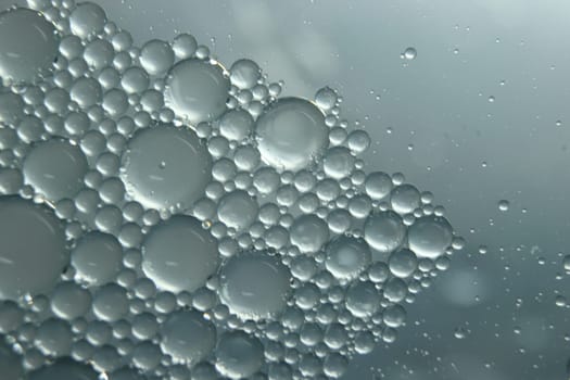 abstract macro background of oil circles floating over water surface . Macro closeup view of bubbles on water . oil bubbles in the water macro photographic background