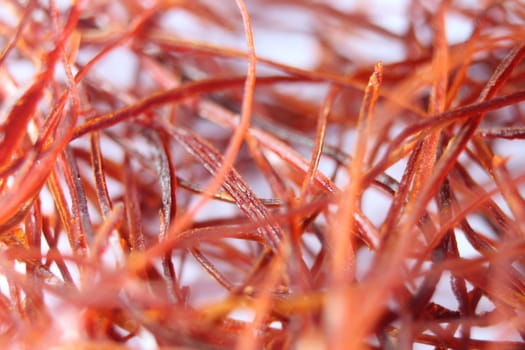 Macro photograph view of saffron with selective focus. Crocus sativus, commonly known as the "saffron crocus"""