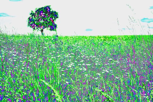 green meadow with single pear tree
