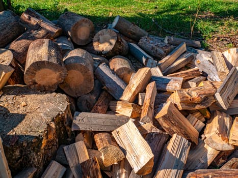 Wood chopped with an ax for heating a rural house. Wood burning stove. Heating season. Pine forest. Industrial logging. Sawmill. Pine sawing. Environmental protection. Ecology. Place for text.