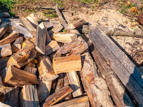 Wood chopped with an ax for heating a rural house. Wood burning stove. Heating season. Pine forest. Industrial logging. Sawmill. Pine sawing. Environmental protection. Ecology. Place for text.