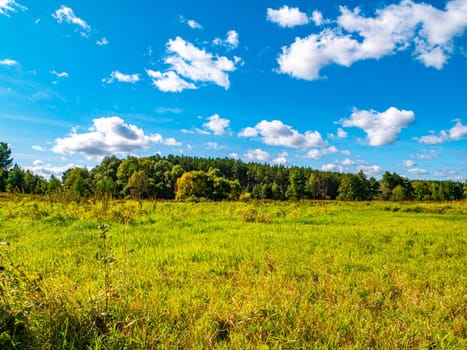 Green meadow with forest horizon against cloudy blue sky. Cloudy horizon. Clear day. Green field grass. Woodland. Landscape. Natural landscape. Environment. Background image. Summer season.