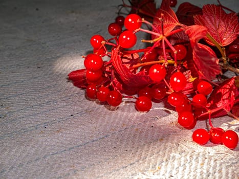 Autumn harvest of red viburnum on the table. Harvest the fruits of the red viburnum. Red autumn foliage. Sunlight. Ethnoscience. Autumn season. Background image. Place for text.