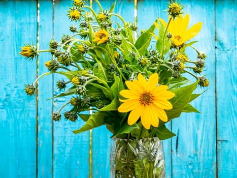 Vazza with a bouquet of Jerusalem artichoke flowers. Earthen pear. Blooming Jerusalem artichoke. Clear sunny autumn day. Harvesting Jerusalem artichoke. Jerusalem artichoke. Ethnoscience.