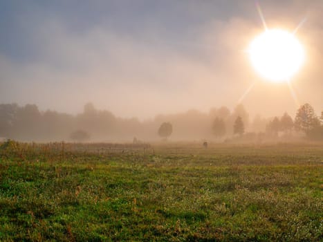 Sunrise over the meadow in the morning fog. Morning sunrise. Deruvia in the thick fog. Non-flying weather. Conditions of poor visibility. Natural landscape. Weather. Synoptic. Weather forecast.
