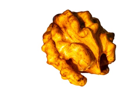 Chopped walnut fruit on a white background. Walnut kernel. The shell is cracked. Harvesting garden crops. Isolated on white background. Background image. Place for your text. Shop window. Poster.