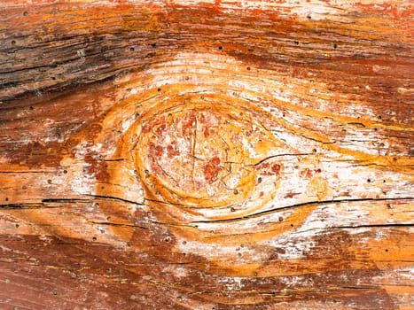 The surface texture of a wooden board with knots. The background image of the site page. Template with place for text. Poster. Advertising.