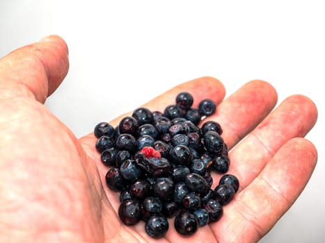 The fruits of wild blueberries in a mans hand. Harvesting. Food photo. Place for text. Template. Poster. Background image. Shop window. Advertising. Vitamins