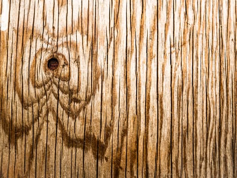 The surface texture of a wooden board with knots. The background image of the site page. Template with place for text. Poster. Advertising.