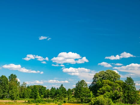 Blue sky with clouds on green trees. Cloudy horizon. Natural landscape. Sunlight. Admire the view. Background image. Free space for text. Template. Poster.