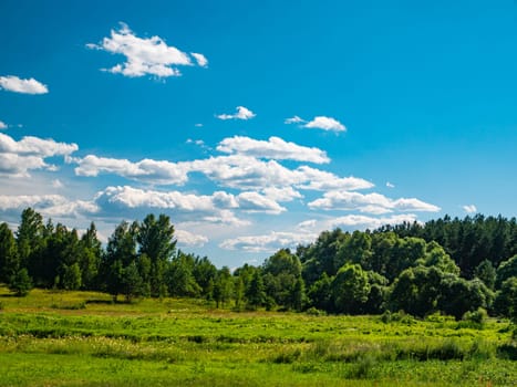 Blue sky with clouds on green trees. Cloudy horizon. Natural landscape. Sunlight. Admire the view. Background image. Free space for text. Template. Poster.
