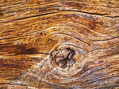 The texture of the longitudinal section of wood with knots. Background image. Place for text. Template. Poster. Wood processing industry. Old wooden board. Deforestation.