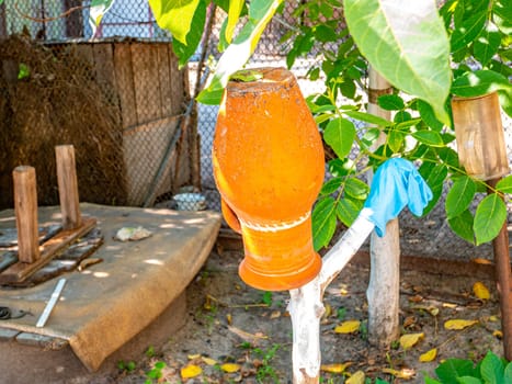 Earthenware jug on a green tree branch. Household. Gen. Background image. On the street. Place for text. Template. Poster.