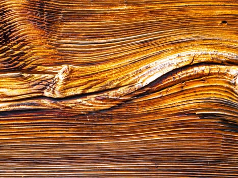 The texture of the longitudinal section of wood with knots. Background image. Place for text. Template. Poster. Wood processing industry. Old wooden board. Deforestation.