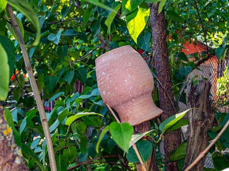 Earthenware jug on a green tree branch. Household. Gen. Background image. On the street. Place for text. Template. Poster.