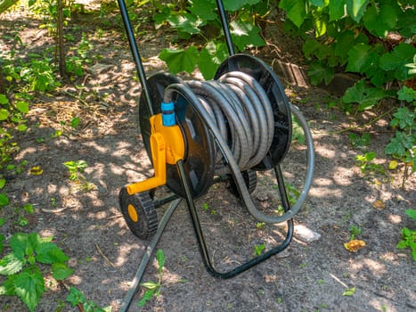 A reel with a wound hose for irrigation with water in the garden and vegetable garden. Agriculture. Farm. Irrigation system. Watering fruits and vegetables with water. Background image. Technology.