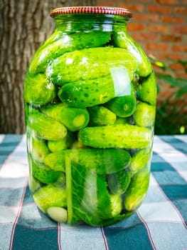 Canned cucumbers in a glass jar on the table. Food photo. Agriculture. Farm. Shop window photo. Preservation of cucumbers. Pickled vegetables.