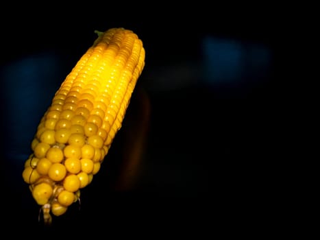 Yellow swing of corn on a black background. Boiled corn. Harvest. Agriculture. Food photo. Black background. Place for your text. Background image. Poster. Vegetarian food.