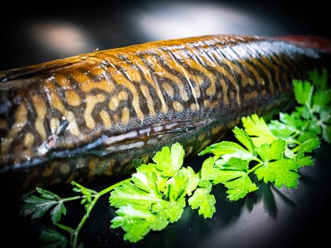 Smoked mackerel fish with parsley on a black background. Salted mackerel fish. Green parsley. Canned food. Food photo. Recipe. Menu of dishes. Vegetarian food. Home kitchen. Fishing.