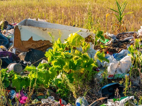 Unauthorized dumping of household waste in nature. Garbage dump. Human activities. Ecological catastrophy. Polyethylene and plastic waste. Environmental protection. Background image.