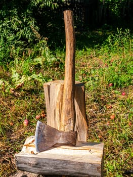 Chopping wood with an iron ax with a wooden handle. Hand tool ax. Preparation of firewood for the heating season. Deforestation. Timber industry. Environmental protection. Lumberjack. Pine tree.