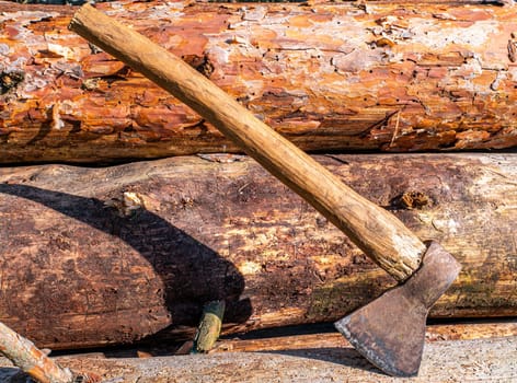 Chopping wood with an iron ax with a wooden handle. Hand tool ax. Preparation of firewood for the heating season. Deforestation. Timber industry. Environmental protection. Lumberjack. Pine tree.