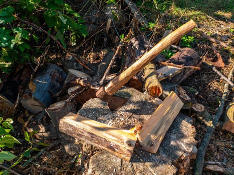 Chopping wood with an iron ax with a wooden handle. Hand tool ax. Preparation of firewood for the heating season. Deforestation. Timber industry. Environmental protection. Lumberjack. Pine tree.