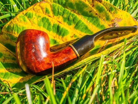 Wooden smoking pipe for tobacco and autumn leaf. Pipe for smoking tobacco. Smoker's tool. Wooden table. Bad habits. Nicotine addiction. Nicotine in cigarettes. Background image. Poster.