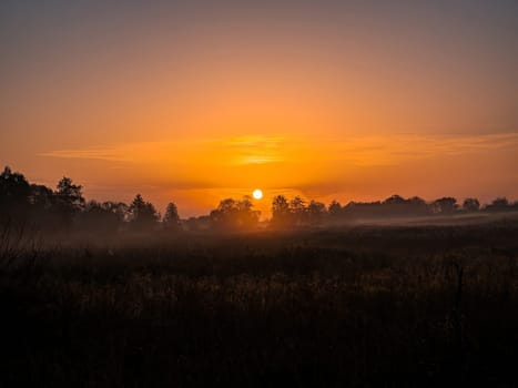 Orange sunrise over a meadow in fog. Orange sunny sunset over the horizon. Trees on the horizon. Morning fog over the meadow. The morning dawn of the rising sun. Evening dawn of the sunset.