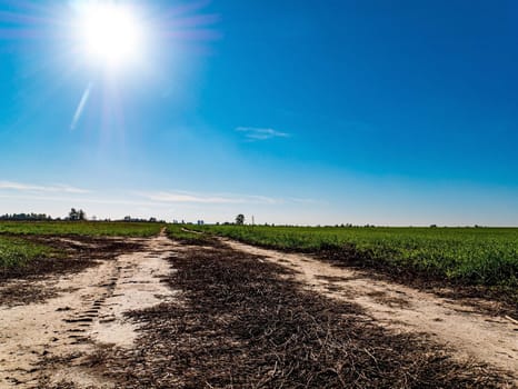 Dirt road against the backdrop of a sunny blue sky. Dirt road for vehicles. Sun in the blue sky. Rural landscape. Natural landscape. Agricultural field. Farm field of winter crops. Background image.