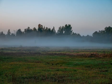 Morning fog in the meadow against the background of the forest horizon. Evening fog. Blue sky. Green meadow. Rural field. Pine forest on the horizon. Natural landscape. Background image.