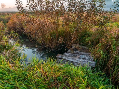 Wooden bridge over a narrow small river. Small wooden bridge over the river. Wood. Reed on the shore of the lake. Fishing place. Fishing. Natural background. Water surface.