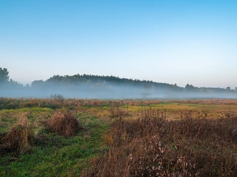 Morning fog in the meadow against the background of the forest horizon. Evening fog. Blue sky. Green meadow. Rural field. Pine forest on the horizon. Natural landscape. Background image.