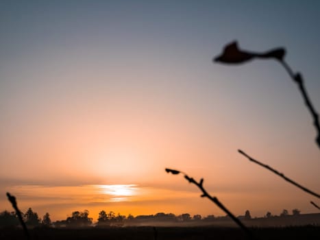 Orange sunrise over a meadow in fog. Orange sunny sunset over the horizon. Trees on the horizon. Morning fog over the meadow. The morning dawn of the rising sun. Evening dawn of the sunset.