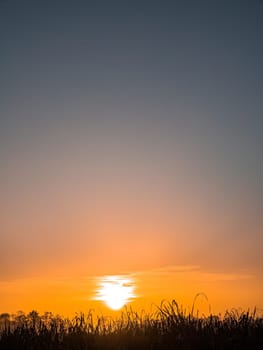 Orange sunrise over a meadow in fog. Orange sunny sunset over the horizon. Trees on the horizon. Morning fog over the meadow. The morning dawn of the rising sun. Evening dawn of the sunset.