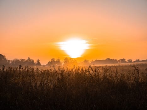 Orange sunrise over a meadow in fog. Orange sunny sunset over the horizon. Trees on the horizon. Morning fog over the meadow. The morning dawn of the rising sun. Evening dawn of the sunset.