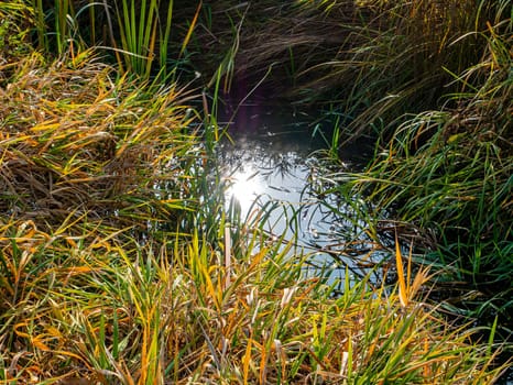 The sun is reflected in the water of a natural reservoir. The sun's rays are reflected in the water. Green grass. Natural background. Natural landscape. Green lawn. Weather. Background image.
