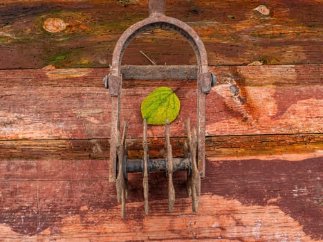 Hand iron tool for cultivating agricultural land. Farming tool. Rusty metal. Land cultivation. Garden equipment. Gardening. Manual labor. Farming field processing. Plow a vegetable garden.