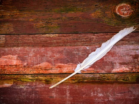 White goose feather on a wooden table. Bird feather. Quill pen for writing with ink. Plumage of birds. Agricultural poultry farming. Plumage of domestic geese. Wooden background. Place for text.