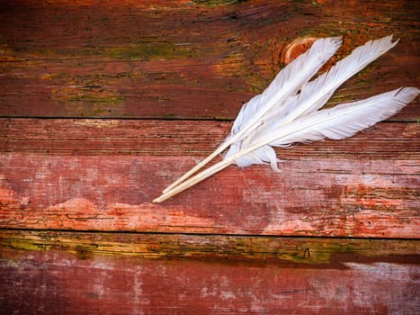 Three white goose feathers on a wooden table. Bird feather. Quill pen for writing with ink. Plumage of birds. Agricultural poultry farming. Plumage of domestic geese. Wooden background.