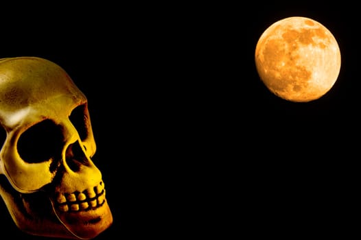 Human skull looking at the moon in halloween. Human head. Halloween holiday. Night life. Background image. Dead man. The horror of hell. Place for text. Poster.