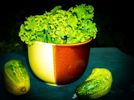 Green lettuce leaves and cucumbers on the table. Food photo. Harvesting cucumbers. Advertising photo of a shop window of a vegetable store. Agriculture. Farming activities. Vegetarian food.