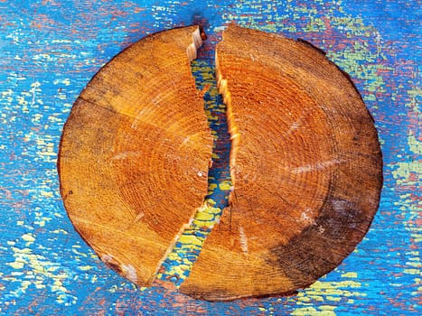 A crack in a cross section of a tree. The texture of a cross section of a pine trunk. A crack in a pine tree. Deforestation. Aging process. Background image. Place for text. Cracks. Poster.