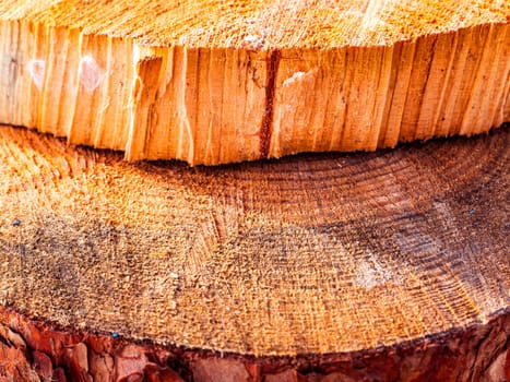 The texture of a transverse crack in a cut of pine wood. Chopped tree. Logging. Background image. Sawmill wood. Deforestation. Pine cut surface structure. Place for text. Texture.